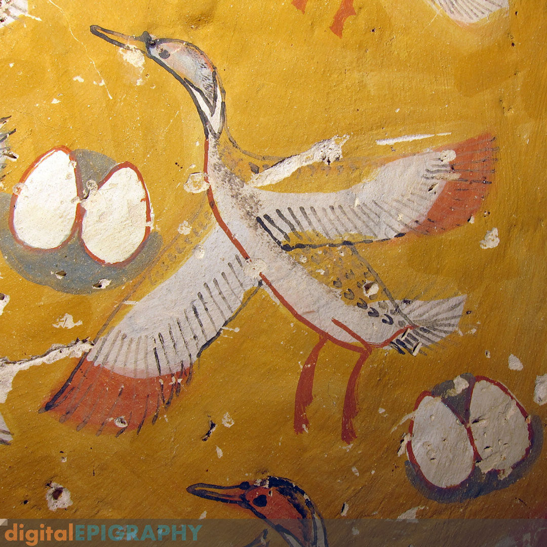 Painted detail from the ceiling of Theban Tomb 65 representing a flock of ducks with their nests