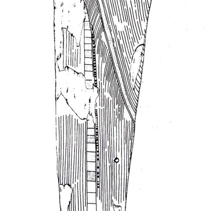 Saqqara, Tomb of Ptahemwia, Wooden coffin fragment
