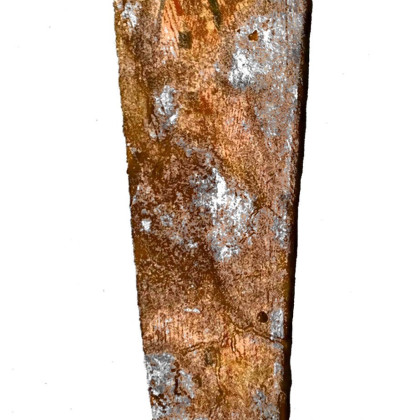 Saqqara, Tomb of Ptahemwia, Wooden coffin fragment