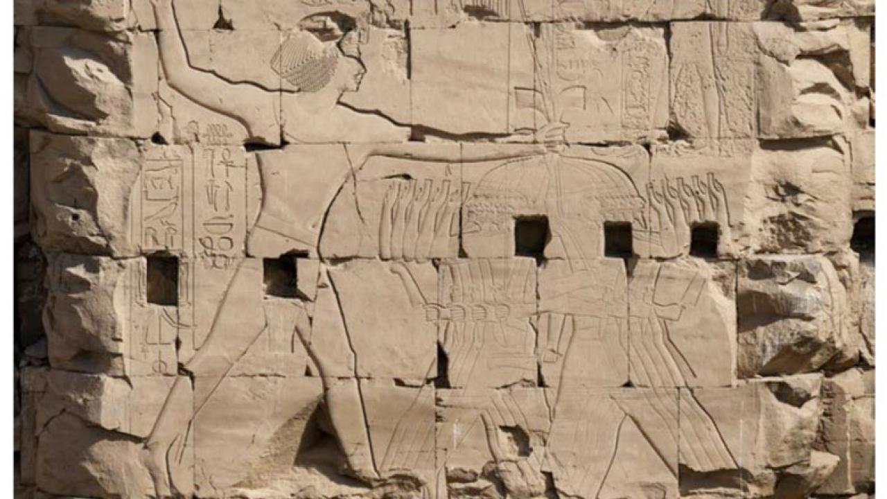 Epigraphic Program of the French-Egyptian Centre for the Study of the Temples of Karnak during the 2015 season